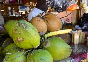 Foodie Tour City Highlights and Shopping