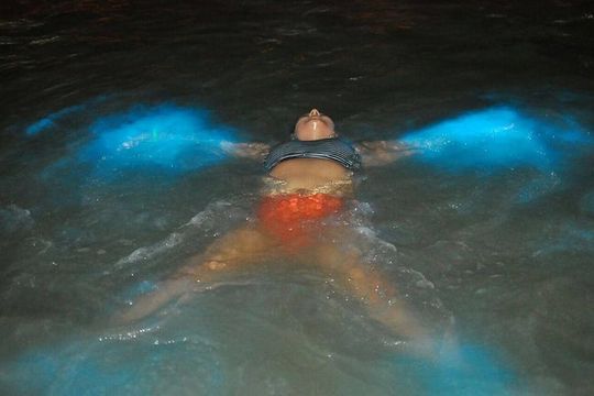 Explore Montego Bay to Luminous LagoonGlistening Water Night Tour