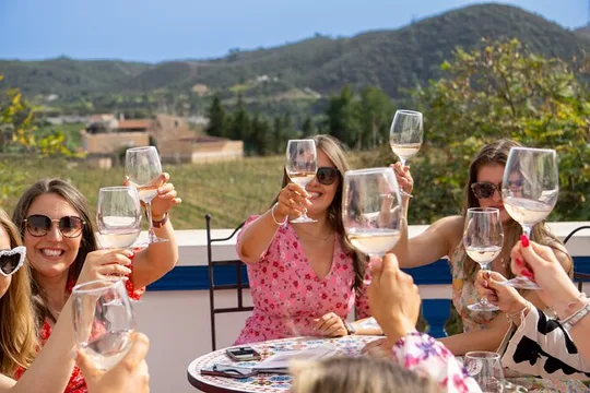 Albufeira Wine Tour: 2 Vineyards, 6 Tastings & Historic Silves