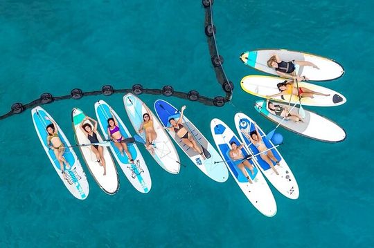 Morning Session - All Levels Paddleboard Group Caribbean Sea