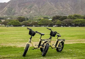Waikiki Electric Bike Tour Self Guided: Diamond Head Bike & Hike