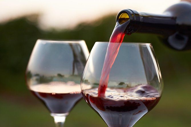 Wine Tour in Kakheti, Telavi town, Georgia