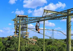 ENJOY 2 Days of 2 Differents Parks in the Jungle and Caribbean with transport