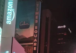 Half Day Guided Evening Walking Tour in Time Square, New York