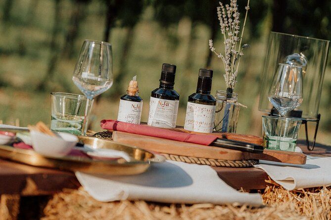 Taste of Istria - wine, brandy, vinegar, local food