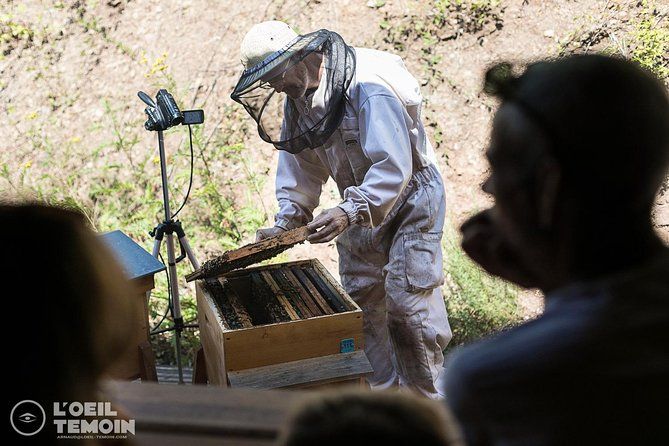 Visit - immersion in the heart of the bee world!