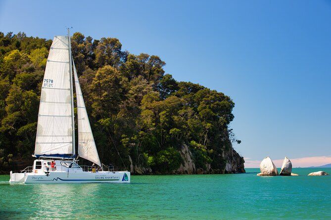 Sail, Seals, and Walk Tour in Abel Tasman