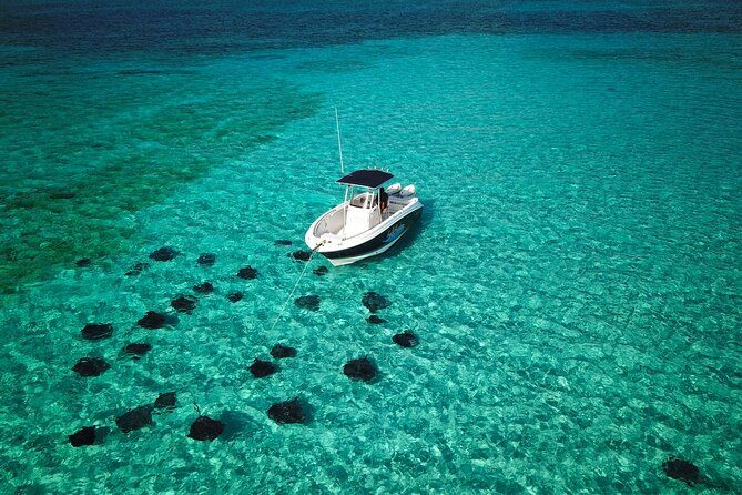 Half-Day Private Customisable Boat Charter in Grand Cayman