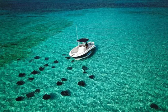Half-Day Private Customisable Boat Charter in Grand Cayman
