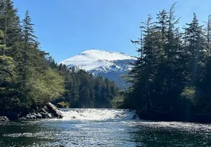 Small Group Boat Tour of Sitka