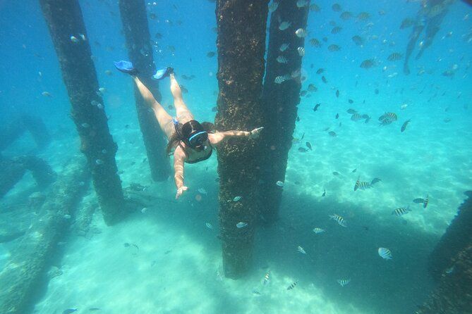 Coral Reef Snorkel Adventure with Photos and Videos