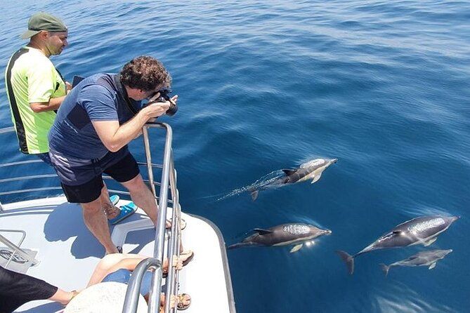 From Lagos: Family way - Dolphin Watching Cruise on a Catamaran