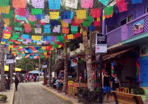 Private Tour, Sayulita & San Pancho