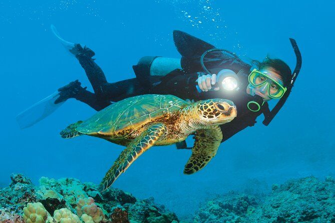 From Side, Alanya: Scuba Diving With 2 Time Dive & Lunch