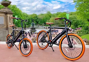 Central Park NYC Electric Bike Rental