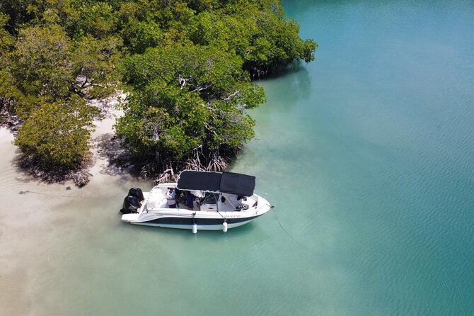 Discovery day at La Baignoire de Joséphine on the windward side