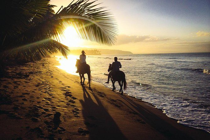Private Sunset Horseback Riding in punta cana beach
