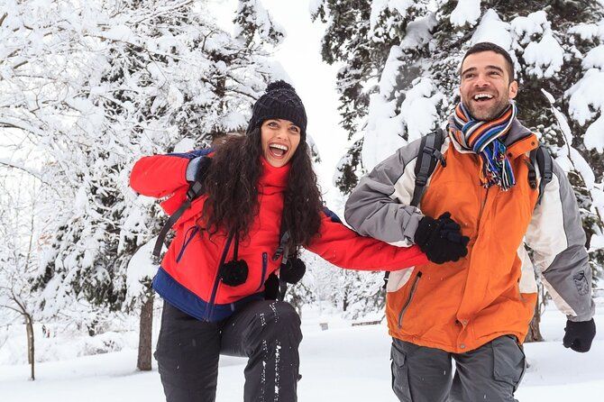 Honeymoon in Vancouver -Couple City Day Tour (Private)