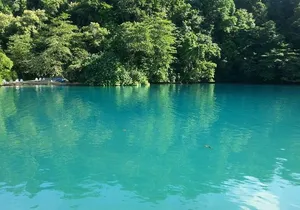 Tour to Fern Gully and Konoko Falls and Park