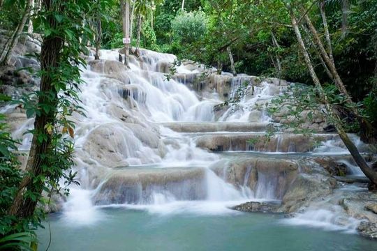 Dunns River Falls and Park Private [Transportation service]