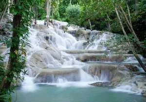 Dunns River Falls and Park Private [Transportation service]