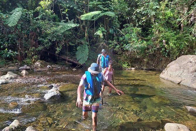 Yunque Rainforest Tour in Puerto Rico