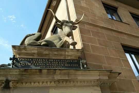 Aztec Temazcal Experience & Jungle Coyuca Lagoon &Turtle Release