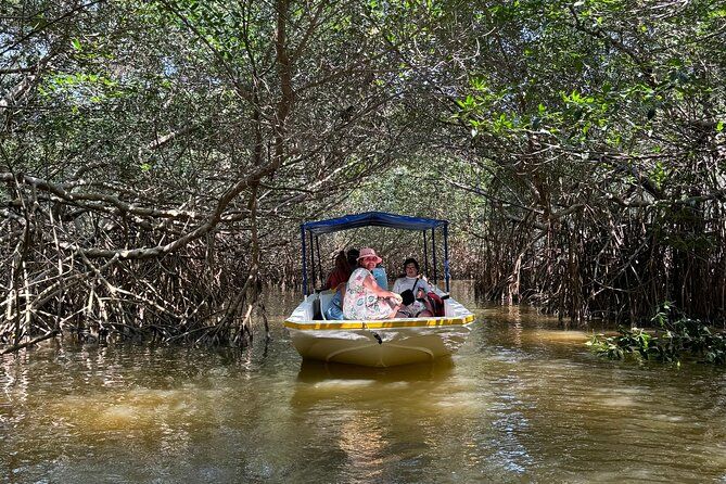 Boat tour through the mangroves of Celestún and Playa from Merida