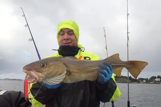 Half Day Fishing and cooking Stavanger