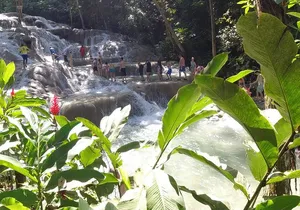 Falmouth to Ocho Rios Guided Tour (Dunn's River Falls & Shopping)