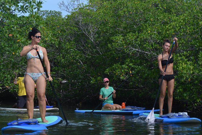 Key West Stand Up Paddleboard Rental