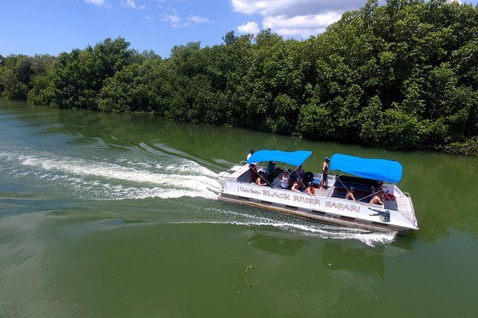 Black River Safari and YS Water Falls