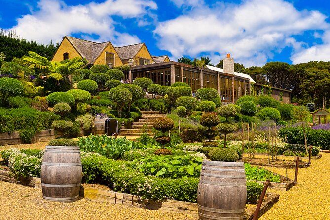 Waiheke island Wine Tours - PREMIUM wine tasting MAX 11 clients!