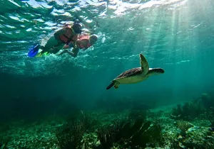 Snorkeling Guided Activity in Puerto Morelos Mexico