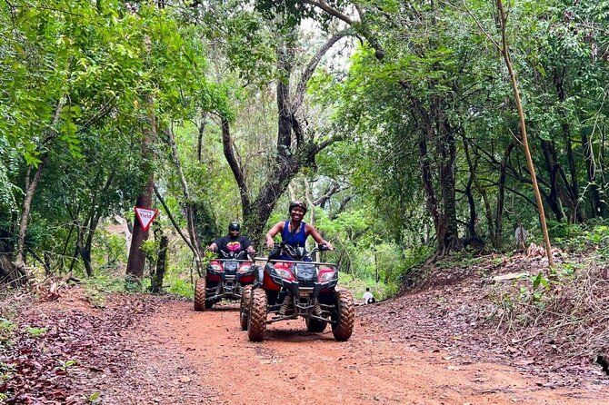 Buggy Cocoa, Coffe, cigar testing. Water Cave, Beach Punta Cana
