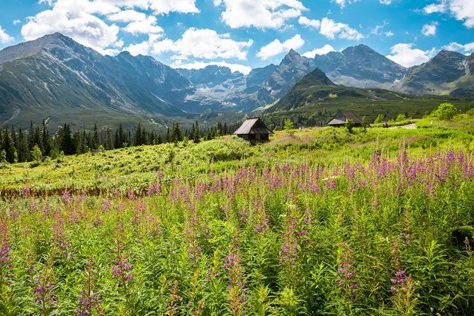 Zakopane & Tatra Mountains - Everyday Tour from Krakow