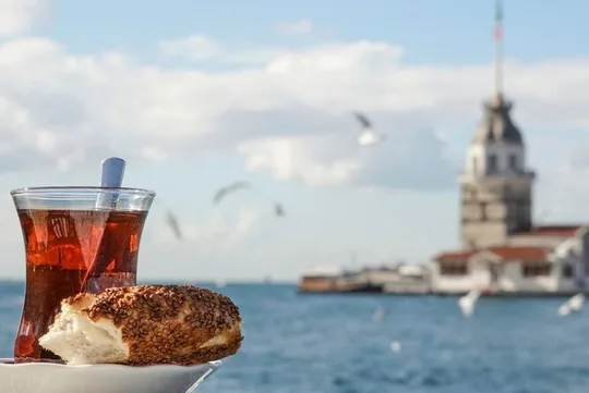 Short Bosphorus Cruise with Pickup and Audio Guide