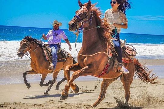 Horseback Riding & ATV Combo! Mountain Trails & Beautiful Beaches of BAJA!