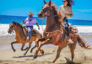 Horseback Riding & ATV Combo! Mountain Trails & Beautiful Beaches of BAJA!