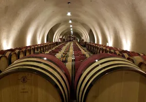 8 Hour Private Napa Wine Tasting Tour with a Sample Stops