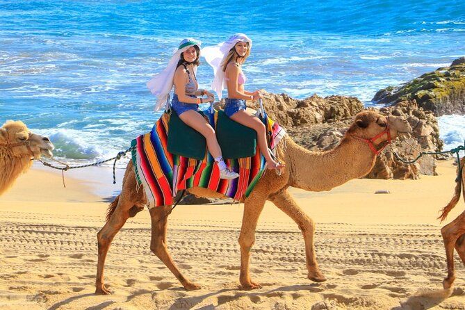 Combo Camel Beach Ride and UTV 4X4 Cabo Adventure, Tequila &
