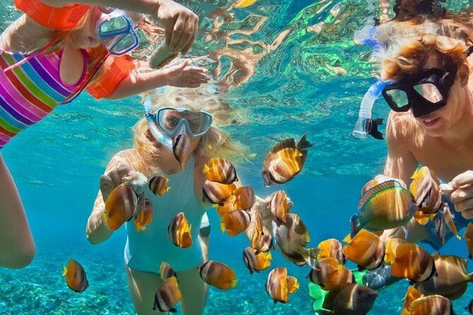 Snorkeling & Magaritaville experience Day tour in Montego Bay