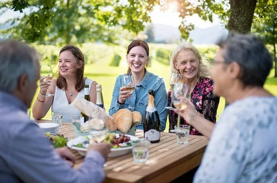 Full-Day Wine Tour from Blenheim