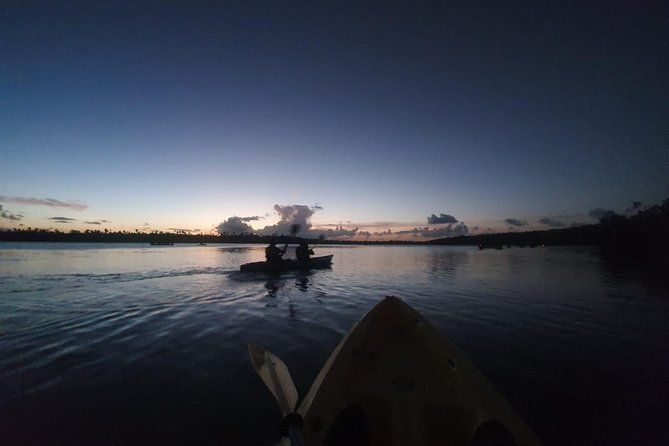 Night Kayaking Experience | Bioluminescent Lagoon in Fajardo 6pm