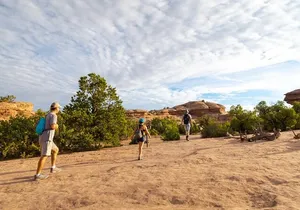 Private Tour: Best of the West 11-Day National Parks Tour with Lodging