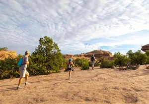 Private Tour: Best of the West 11-Day National Parks Tour with Lodging