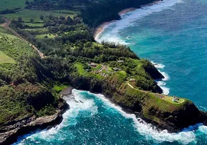 Shared Round-Trip Transfer: Honolulu Airport to Hotel or Cruise Terminal