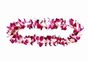 Orchid Airport Lei Greeting (Maui, Kahului Airport, OGG)
