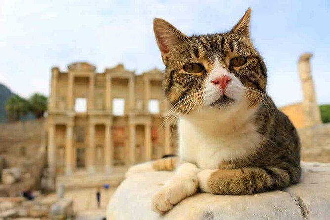 FOR CRUISERS: Skip-The-Lines EPHESUS Ticket Included With Lunch