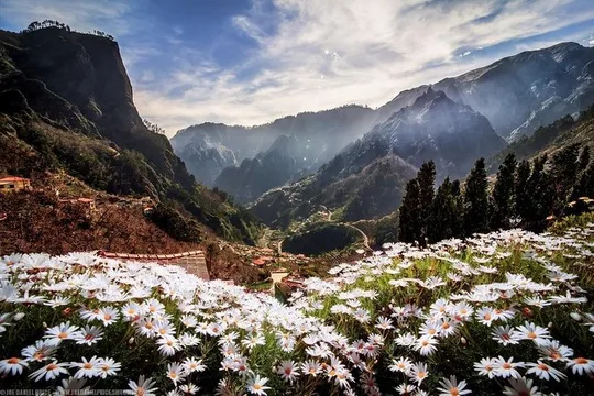 Madeira Half-Day Sightseeing Private Tour with Wine Tasting